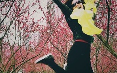 少年歌行电视剧免费观看真人版